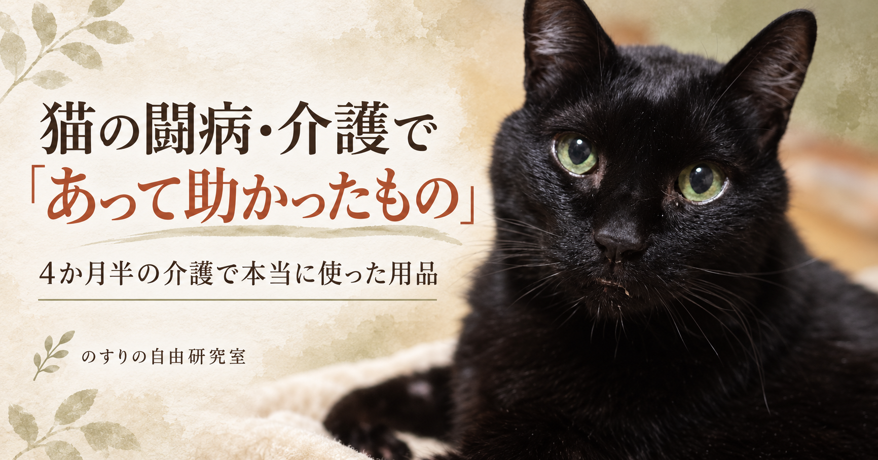 猫の闘病・介護であって助かったものをまとめた記事のアイキャッチ