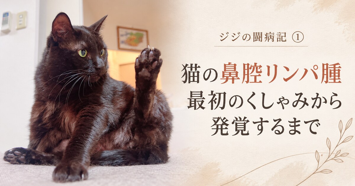 黒猫ジジと「猫の鼻腔リンパ腫 最初のくしゃみから発覚するまで」の文字を配したアイキャッチ